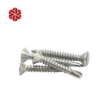 M10 Self Drilling Screws Torx Truss Countersunk Head White