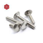 M20 Stainless Steel Carriage Bolts