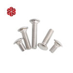 M20 Stainless Steel Carriage Bolts