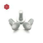 M20 Stainless Steel Carriage Bolts