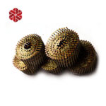 Smooth Shank Coil Roofing Nails 15 Degree Electric Galvanized Collated Big Head Clout Nail 1 3/4″ for Wooden House Roofing