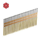 21 Degree Plastic Strip Round Head Hot Dipped Galvanized Collated Framing Nails