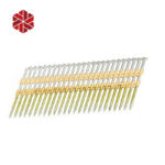 21 Degree Plastic Strip Round Head Hot Dipped Galvanized Collated Framing Nails