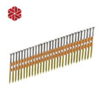 21 Degree Plastic Strip Round Head Hot Dipped Galvanized Collated Framing Nails