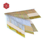 21 Degree Plastic Strip Round Head Hot Dipped Galvanized Collated Framing Nails