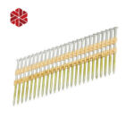 21 Degree Plastic Strip Round Head Hot Dipped Galvanized Collated Framing Nails