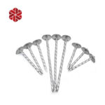 Cheap Price Screw Shank Smooth Galvanized Head Umbrella Roofing Nails Weight with Rubber Washer