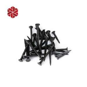 Round Head Shoe Nails Iron Q195 Materials Mini Shoe Tack Nails