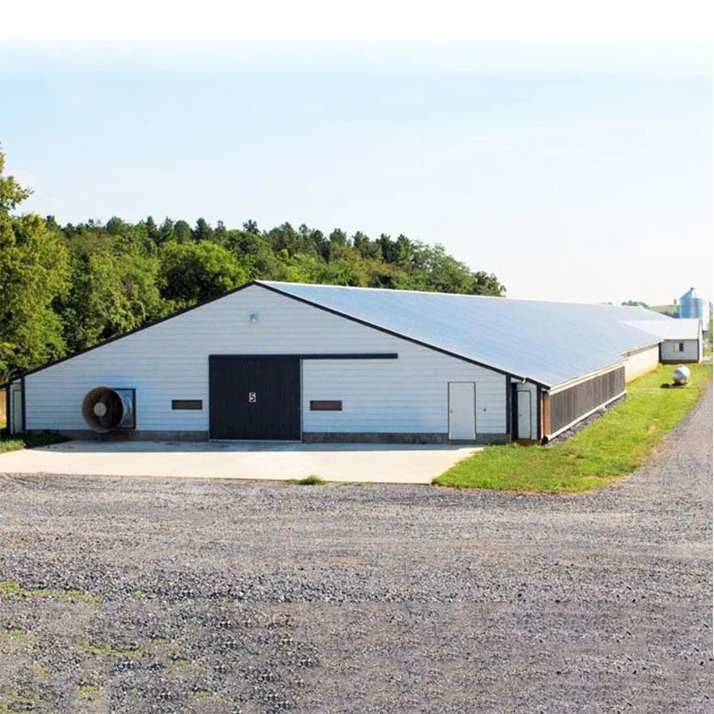 Poultry shed STEEL STRUCTURE